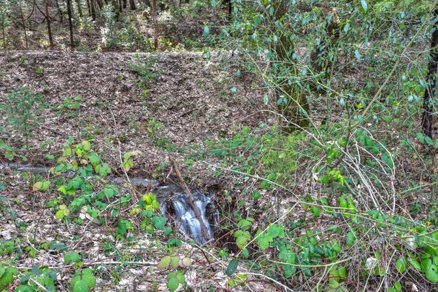 7277 Red Ant Rd, Somerset, CA 95684