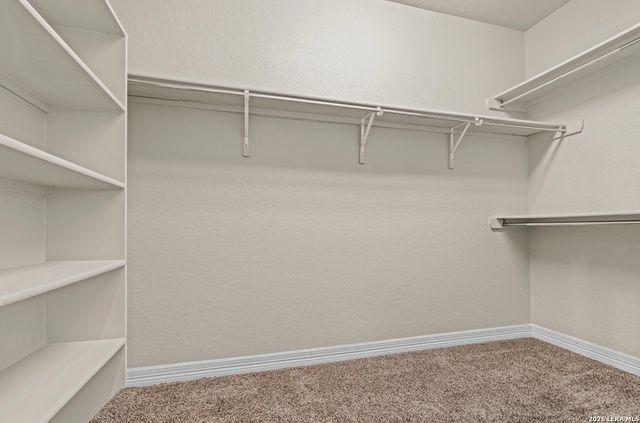 11102 Butterfly Bush, San Antonio, TX 78245