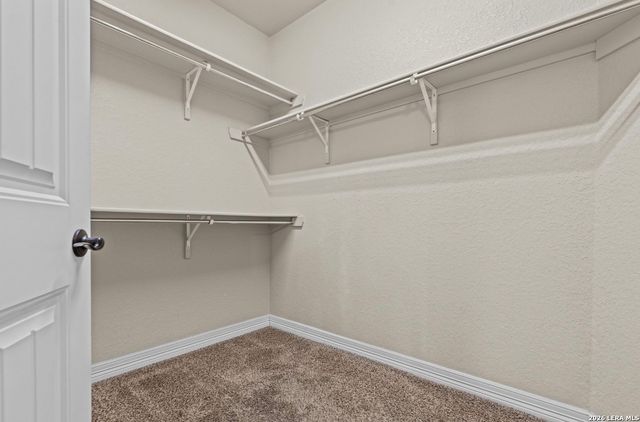 11102 Butterfly Bush, San Antonio, TX 78245