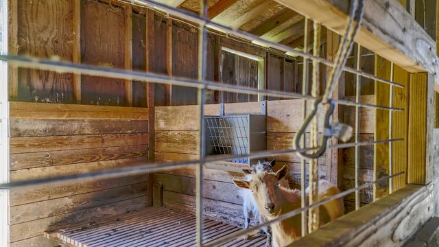 4131 W Griffin Creek Road, Medford, OR 97501