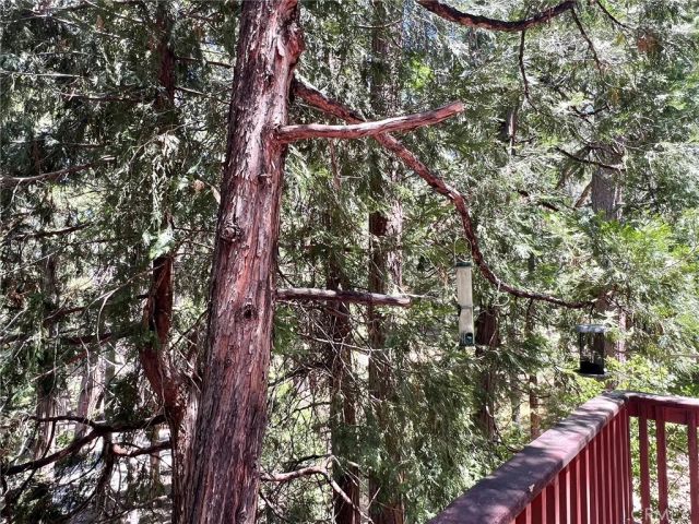 473 Annandale Drive, Lake Arrowhead, CA 92352