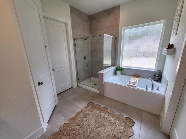 204 Bronzewood Terrace Court, Conroe, TX 77318