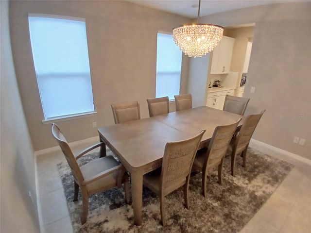 29900 WALSH OAK DRIVE, Wesley Chapel, FL 33545