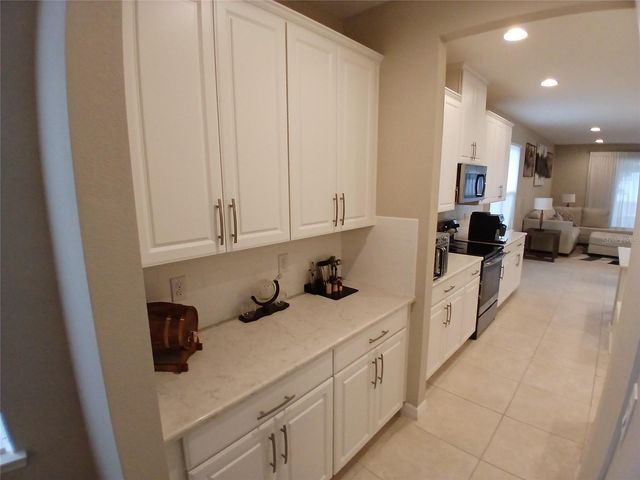 29900 WALSH OAK DRIVE, Wesley Chapel, FL 33545