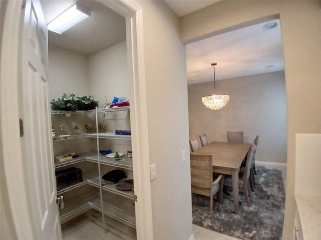 29900 WALSH OAK DRIVE, Wesley Chapel, FL 33545