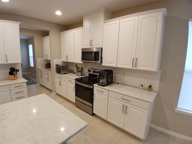 29900 WALSH OAK DRIVE, Wesley Chapel, FL 33545