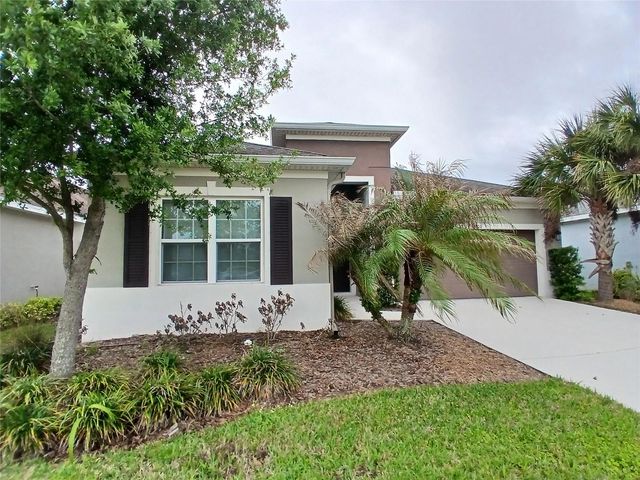 29900 WALSH OAK DRIVE, Wesley Chapel, FL 33545
