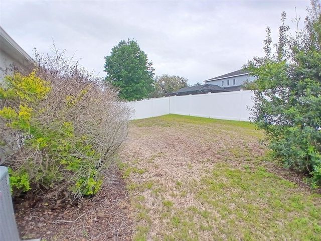 29900 WALSH OAK DRIVE, Wesley Chapel, FL 33545