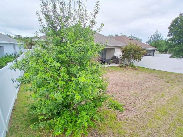 29900 WALSH OAK DRIVE, Wesley Chapel, FL 33545