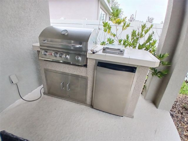 29900 WALSH OAK DRIVE, Wesley Chapel, FL 33545