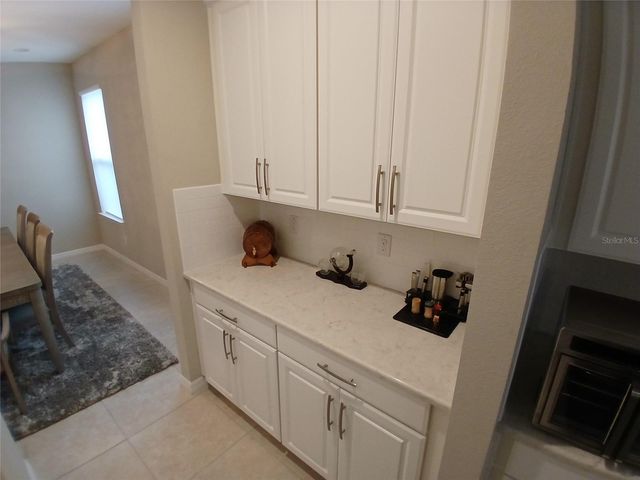 29900 WALSH OAK DRIVE, Wesley Chapel, FL 33545