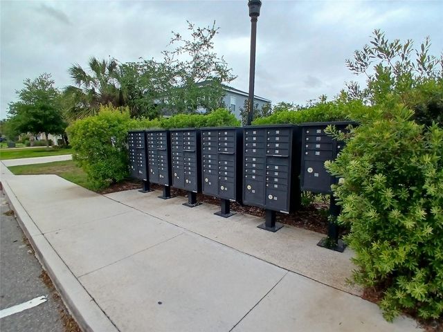 29900 WALSH OAK DRIVE, Wesley Chapel, FL 33545