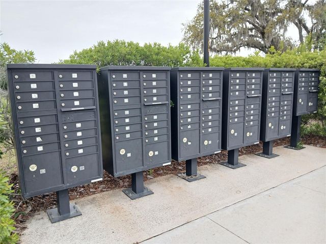 29900 WALSH OAK DRIVE, Wesley Chapel, FL 33545