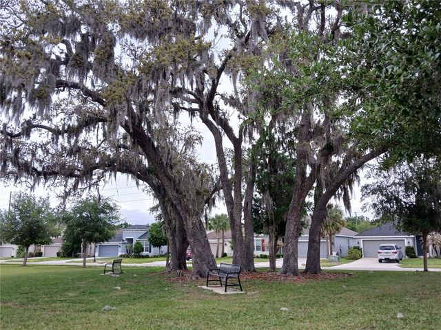 29900 WALSH OAK DRIVE, Wesley Chapel, FL 33545