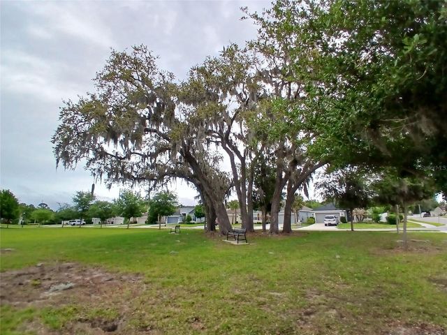 29900 WALSH OAK DRIVE, Wesley Chapel, FL 33545