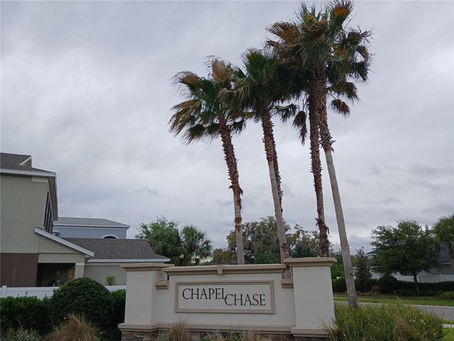 29900 WALSH OAK DRIVE, Wesley Chapel, FL 33545