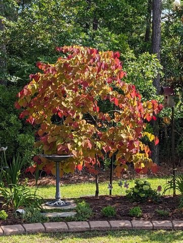 5618 Lombardia Circle, Myrtle Beach, SC 29579