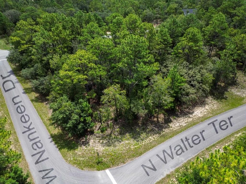 6549 N WALTER TERRACE, Dunnellon, FL 34434