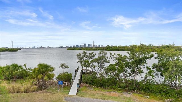 4405 TUSCAN LOON DRIVE, Tampa, FL 33619