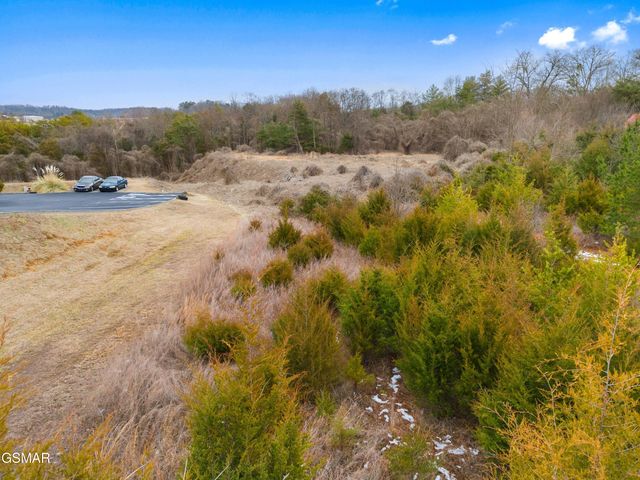 Par. 11&12 HIghway 92 S, Dandridge, TN 37725