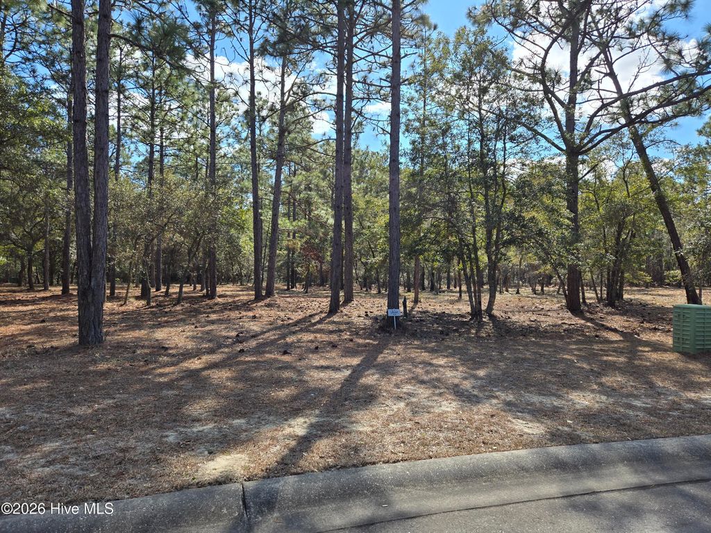 3597 Concordia Avenue SW, Supply, NC 28462