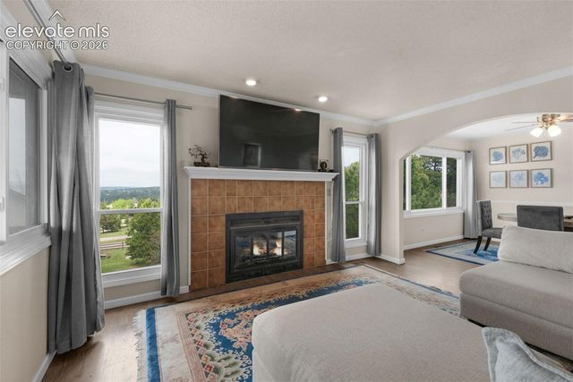 17585 Chipped Arrow Way, Monument, CO 80132