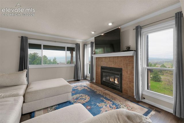 17585 Chipped Arrow Way, Monument, CO 80132