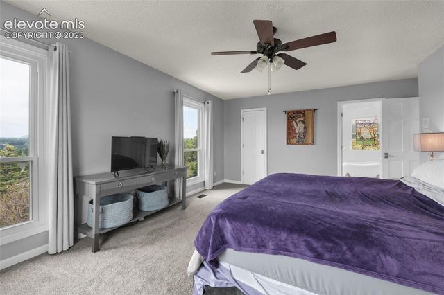17585 Chipped Arrow Way, Monument, CO 80132