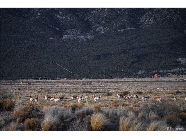 32500 Oak Ave, Blanca, CO 81123