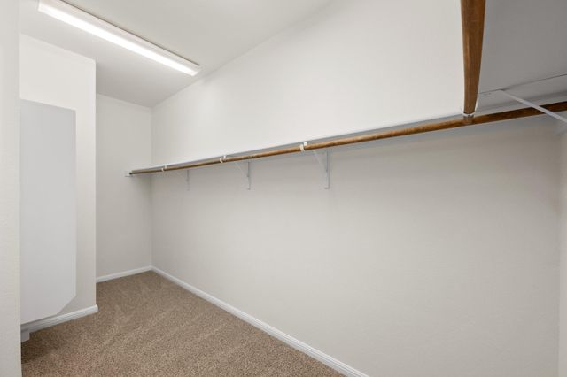 608 Royal Burgess DR, Round Rock, TX 78664