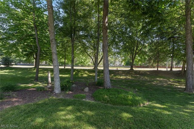 9187 Davis Way, Twinsburg, OH 44087