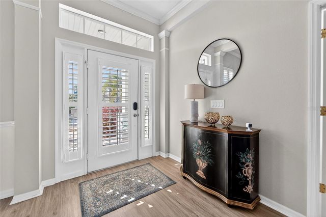 5241 BRIGHTON SHORE DRIVE, Apollo Beach, FL 33572