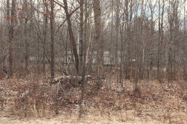 2562 Sterling Truck Trail, Alger, MI 48610