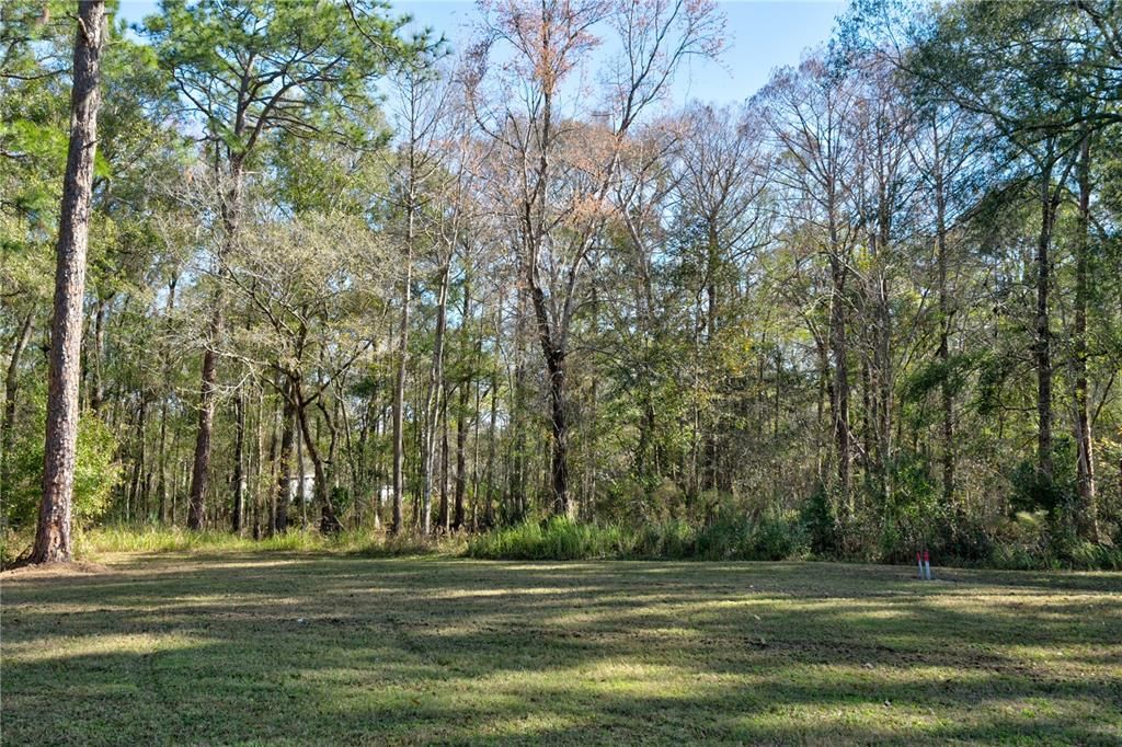 11504 LAKE DRIVE, New Port Richey, FL 34654