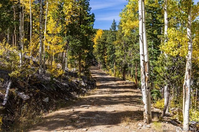 004 Seldom Seen Road, Golden, CO 80403