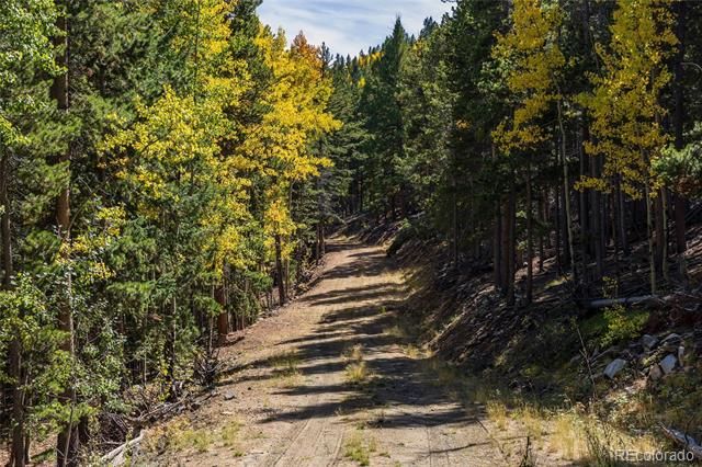 004 Seldom Seen Road, Golden, CO 80403