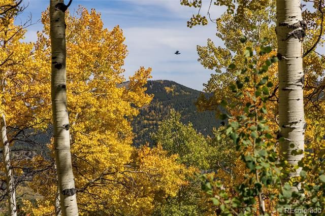 004 Seldom Seen Road, Golden, CO 80403