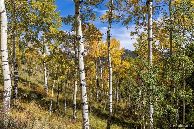 004 Seldom Seen Road, Golden, CO 80403