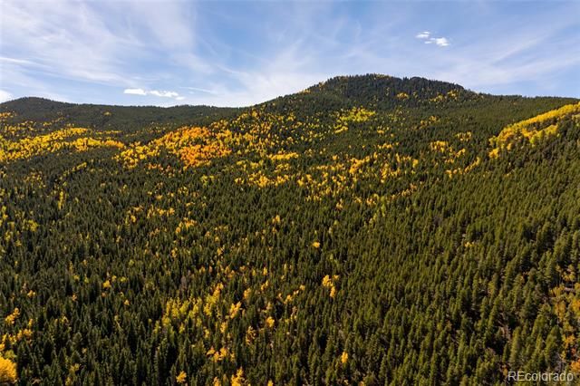 004 Seldom Seen Road, Golden, CO 80403