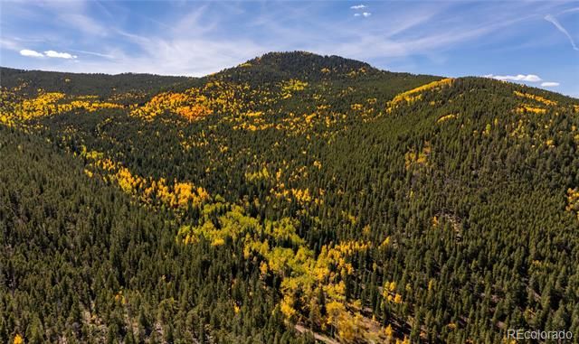 004 Seldom Seen Road, Golden, CO 80403