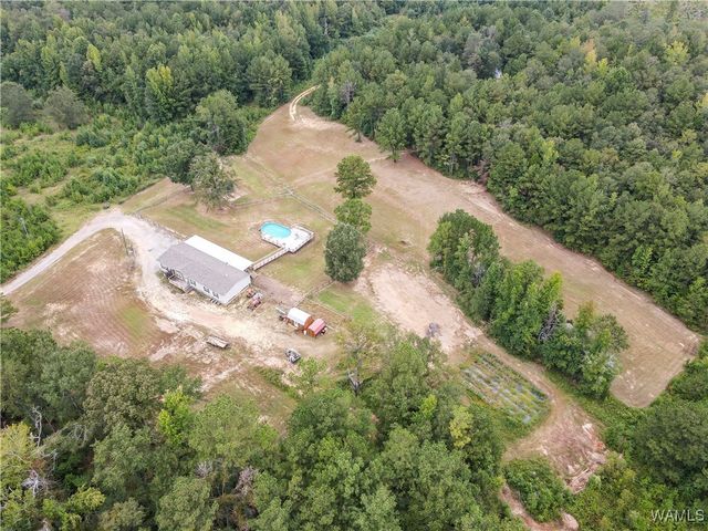 16575 Reed Creek, Ralph, AL 35480