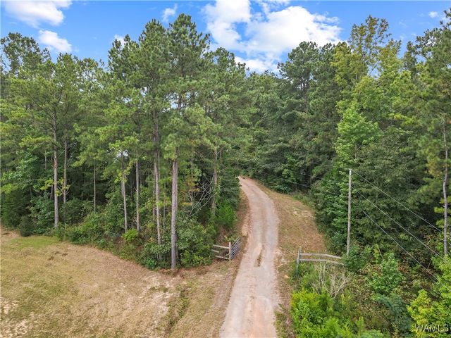 16575 Reed Creek, Ralph, AL 35480
