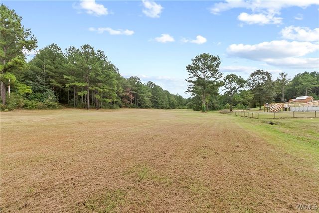 16575 Reed Creek, Ralph, AL 35480