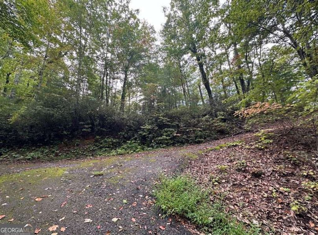 LOT 6 Sequoia Hills Lane 6, Clayton, GA 30525 — photo 2