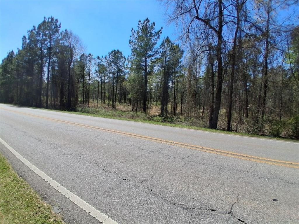 0 Celeste Road, Chunchula, AL 36521 — photo 5
