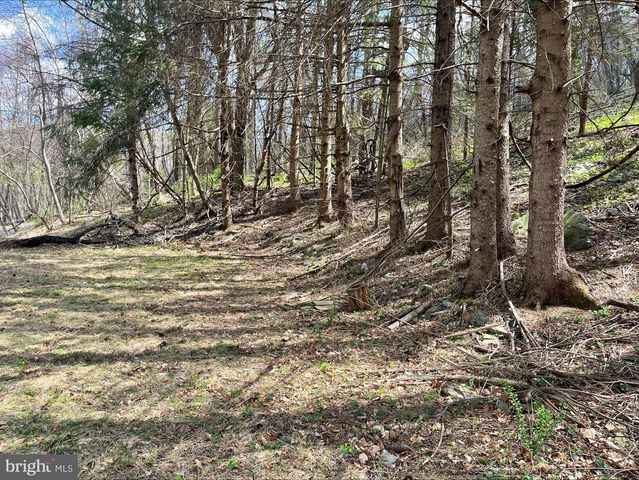 0 HILLSIDE DR., Stanley, VA 22851