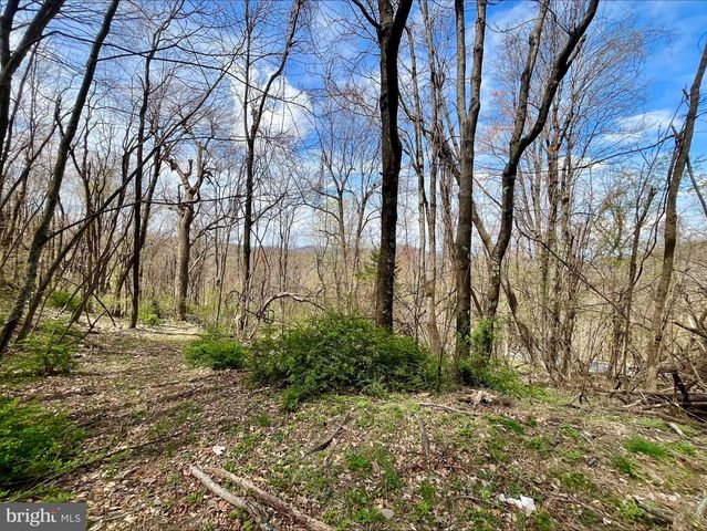 0 HILLSIDE DR., Stanley, VA 22851