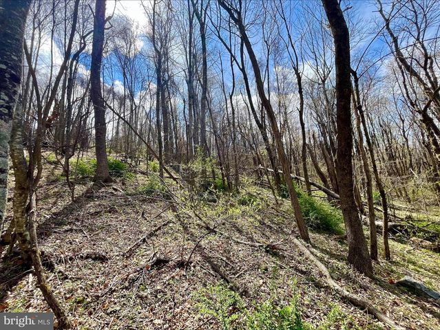 0 HILLSIDE DR., Stanley, VA 22851