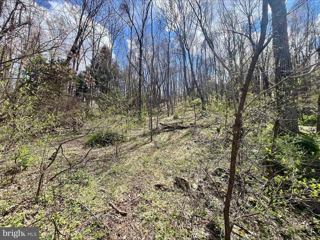 0 HILLSIDE DR., Stanley, VA 22851