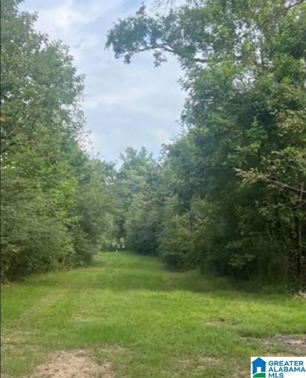 0 ONEAL DRIVE, Calera, AL 35040